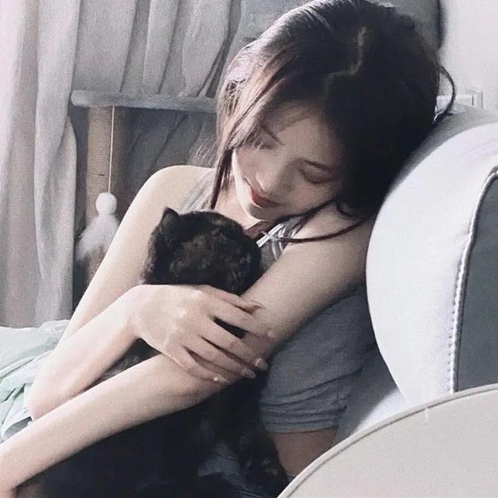 猫狗大战2：珍珠猫复仇