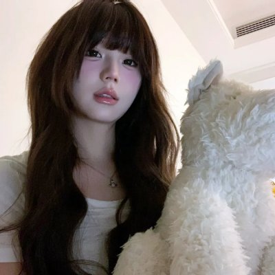 攻壳机动队第二季